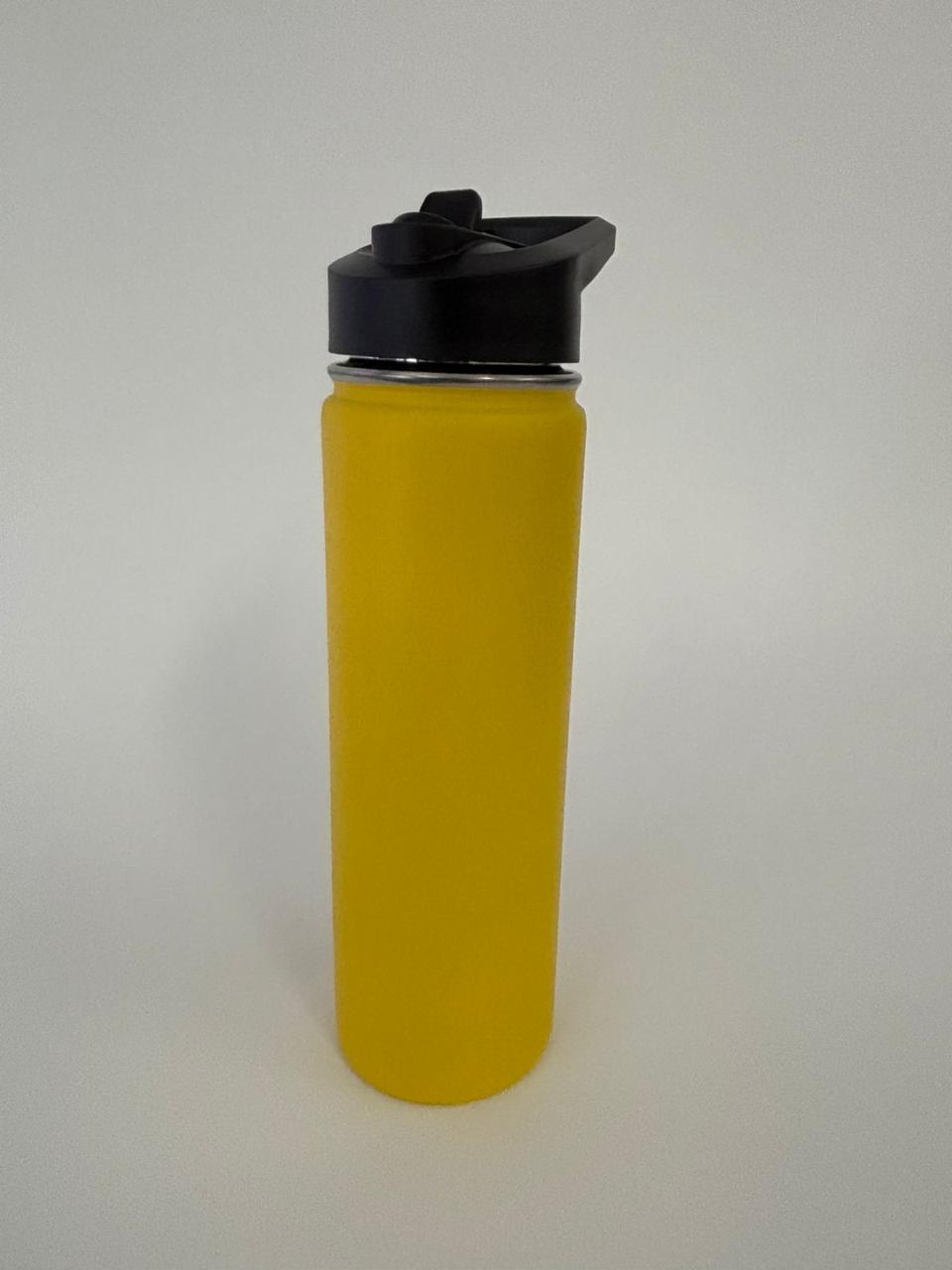 650ml Insulated Flask